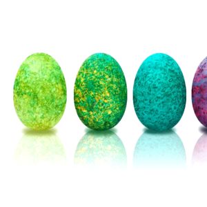 カラーパウダーの卵1