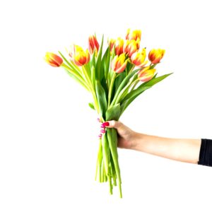 手に持ったチューリップ1