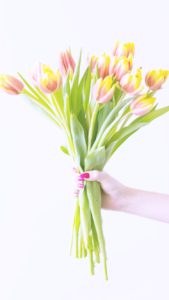 オレンジのチューリップ1