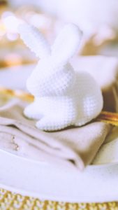 白いイースターラビット1