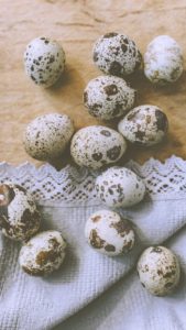 レースとうずらの卵1
