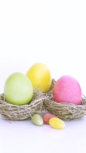 鳥の巣に入った卵1