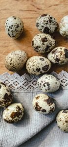 レースとウズラの卵1