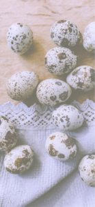 レースとウズラの卵2