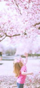 女の子と桜1
