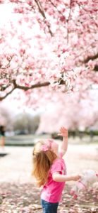 小さい女の子と桜2