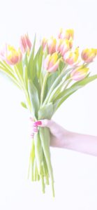 オレンジのチューリップ2