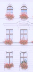 白い建物と花2