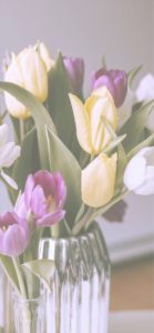 黄色と紫のチューリップ2