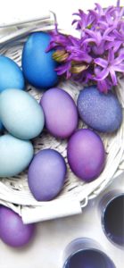 紫のイースターエッグ1