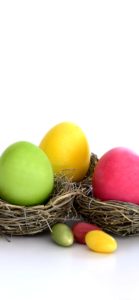 ３色のイースターエッグ1