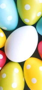 ドットのイースターエッグ1