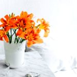 iPhone11Pro・Xs・Xロック画面等花の無料壁紙・待受け配信中