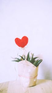 ハートとギフト2