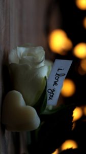 白いバラとソープ1