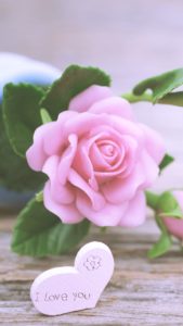 ピンクのハートとバラ2