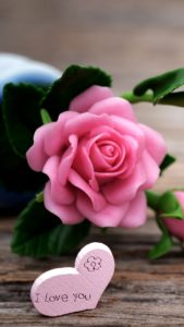 ピンクのハートとバラ1