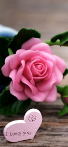 ピンクのバラの飾り1