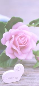 ピンクのバラの飾り2