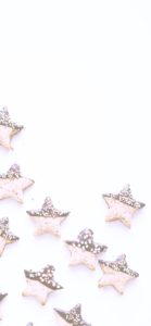 チョコ付け星クッキー