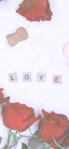 赤いバラとLOVE2