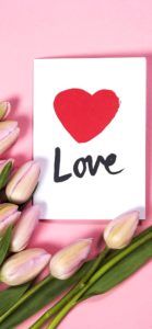 ピンクのチューリップ2