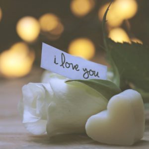 白いバラとソープ2