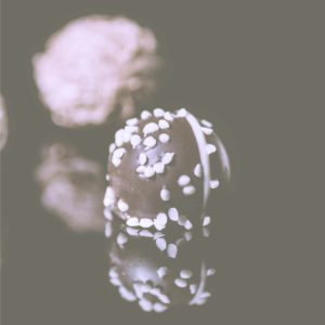 セミスイートチョコレート2