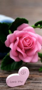 ピンクのバラの飾り1