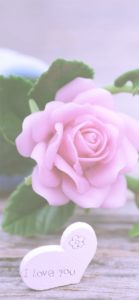 ピンクのバラの飾り2