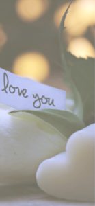 白い石鹸とLOVE-YOU1