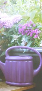 紫のじょうろと花2