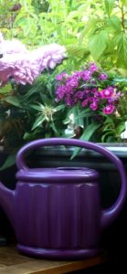 紫のじょうろと花1