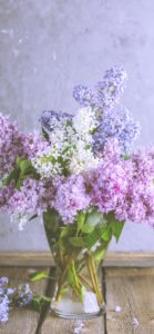 部屋に飾ったライラック2