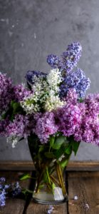 部屋に飾ったライラック1