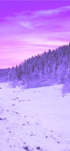 紫色の山の雪景色1