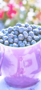 カップに入れたブルーベリー2