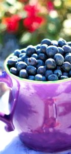紫のカップとブルーベリー1
