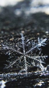 雪の結晶1
