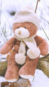 雪の中のぬいぐるみ2