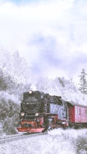 雪の中を走る蒸気機関車2