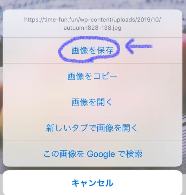 iPhone・iPadの壁紙の変更方法説明画像3 iPhone・iPadの壁紙の変更方法説明画像3