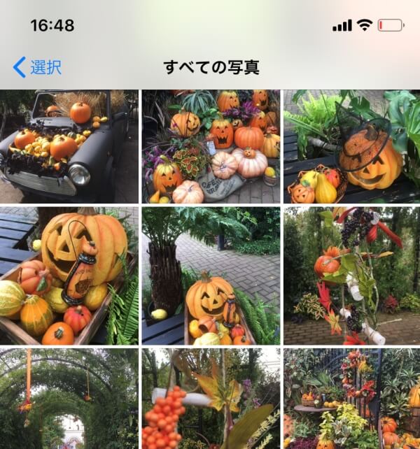 iPhone・iPadの壁紙の変更方法説明画像9 iPhone・iPadの壁紙の変更方法説明画像9