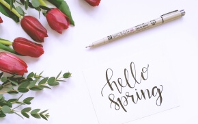 ハロースプリング2