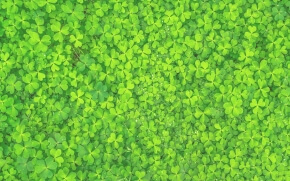 春のクローバー2