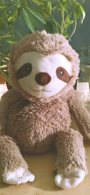 ナマケモノのぬいぐるみ