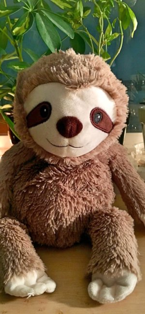 ナマケモノのぬいぐるみ