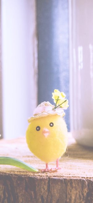 ひよこのマスコット