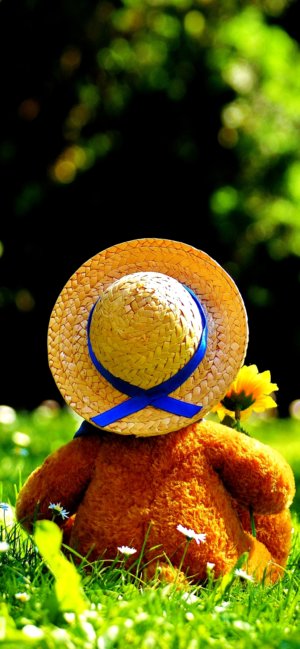 麦わら帽子のくまのぬいぐるみ