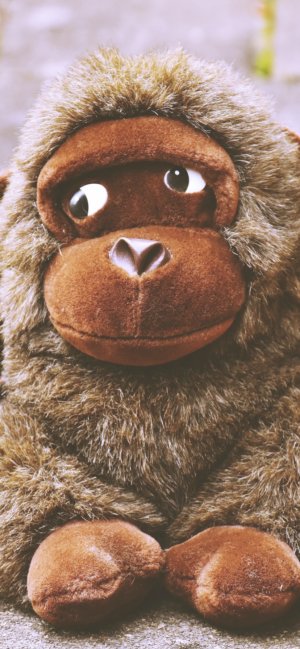 ゴリラのぬいぐるみ